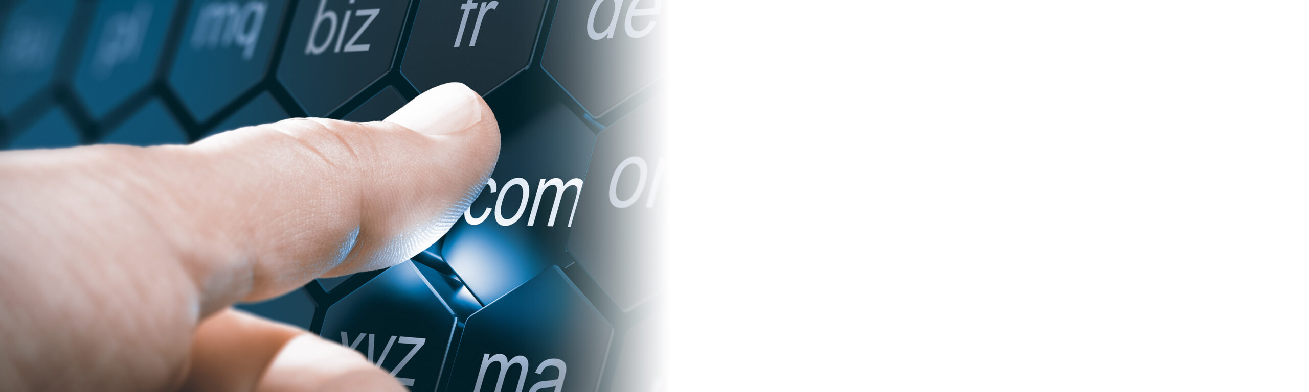 Domeinnaam Registraties